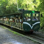 Tren de la Selva en Iguazú recorre el Parque Nacional Iguazú