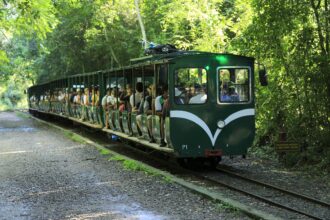 Tren de la Selva en Iguazú recorre el Parque Nacional Iguazú