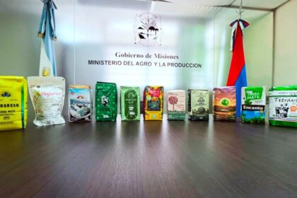 14 marcas de yerba mate de Misiones preparadas para exportar a Nueva Zelanda